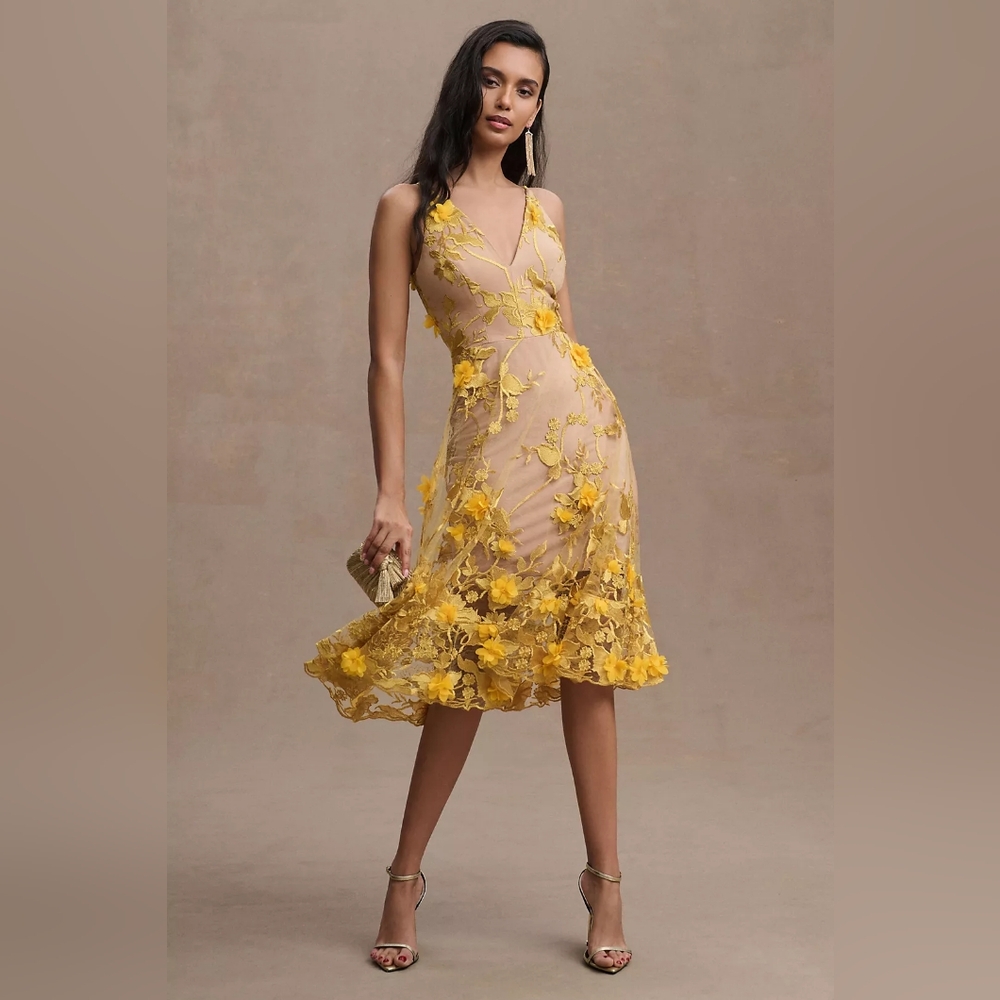 Anthropologie dress the population dress (currentlyus anthro site $450 canadian)